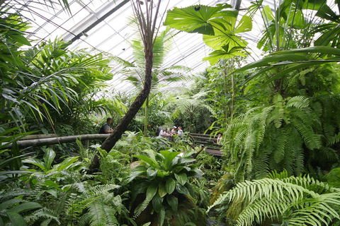 Australian Butterfly Sanctuary - Tourism Cairns 3