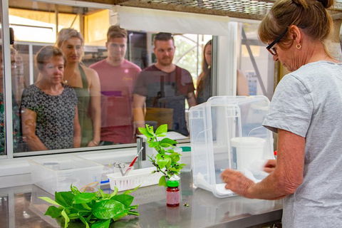 Australian Butterfly Sanctuary - Tourism Cairns 5