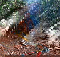 Kuranda Highlights including Rainforestation Aboriginal Culture and Wildlife - Tourism Cairns