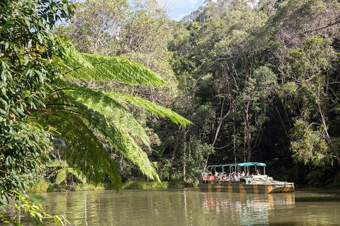 Best Of Kuranda Including Skyrail, Kuranda Scenic Railway And Rainforestation - Tourism Cairns 5