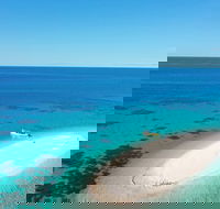 Ocean Safari Great Barrier Reef Experience in Cape Tribulation - Tourism Cairns