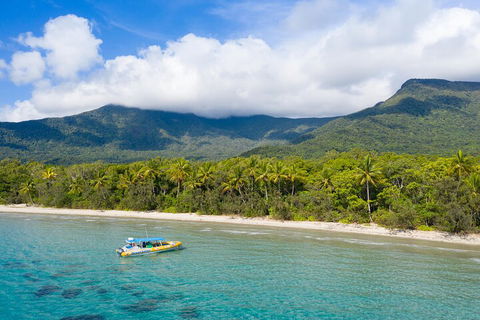 Ocean Safari Great Barrier Reef Experience In Cape Tribulation - Tourism Cairns 2