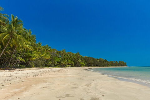 Ocean Safari Great Barrier Reef Experience In Cape Tribulation - Tourism Cairns 4