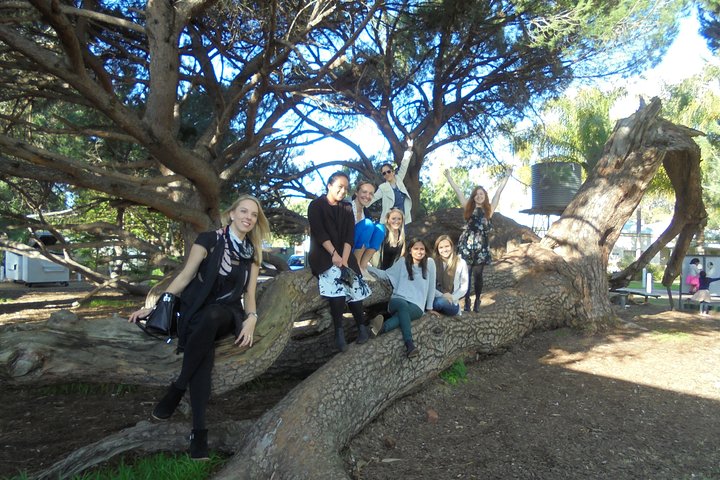 Perth WA Tourism Cairns