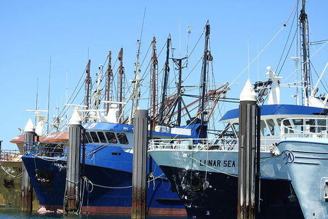 One Day Port Lincoln Tour - Tasting Eyre - Tourism Cairns 0