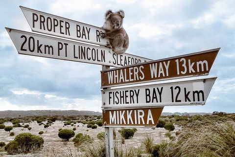 One Day Port Lincoln Tour - Tasting Eyre - Tourism Cairns 2