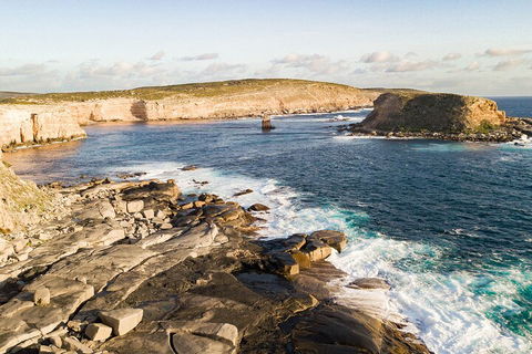 One Day Port Lincoln Tour - Tasting Eyre - Tourism Cairns 3