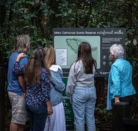 Sunshine Coast Hinterland and Noosa Day Trip from Brisbane Including Eumundi Markets and Ginger Factory - Tourism Cairns