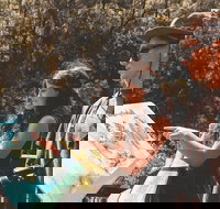 Springbrook andTamborine Rainforest Tour Incl Natural Bridge and Glow Worm Cave - Tourism Cairns