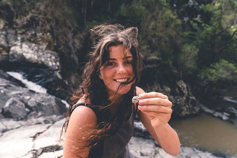 Springbrook AndTamborine Rainforest Tour Incl Natural Bridge And Glow Worm Cave - Tourism Cairns 1