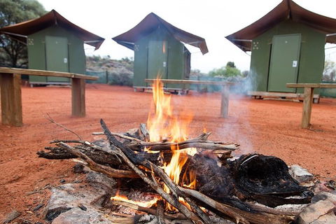 4 Day/3 Night Perentie Dreaming Safari - Tourism Cairns 1