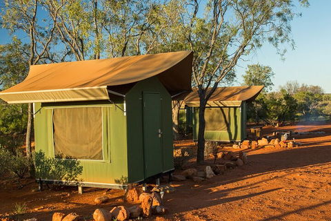 4 Day/3 Night Perentie Dreaming Safari - Tourism Cairns 2