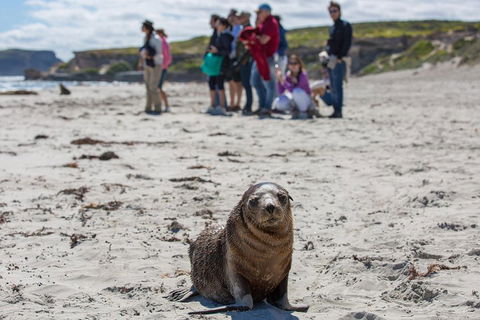 Kangaroo Island In A Day Tour From Adelaide - Tourism Cairns 0