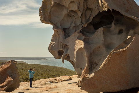 Kangaroo Island In A Day Tour From Adelaide - Tourism Cairns 5