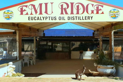 2 Day Ultimate Kangaroo Island With Return Ferry - Tourism Cairns 3