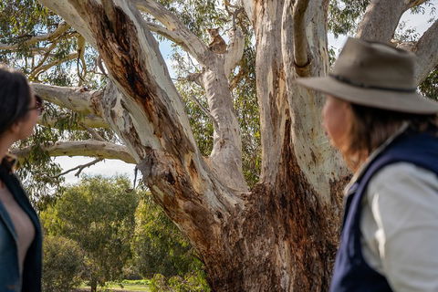 NEW TOUR - Kangaroo Island Road To Recovery Tour (1 Day/1 Night) - Tourism Cairns 0