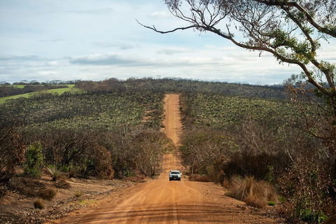 NEW TOUR - Kangaroo Island Road To Recovery Tour (1 Day/1 Night) - Tourism Cairns 2