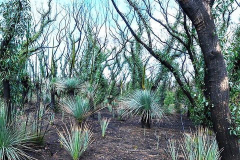 NEW TOUR - Kangaroo Island Road To Recovery Tour (1 Day/1 Night) - Tourism Cairns 3