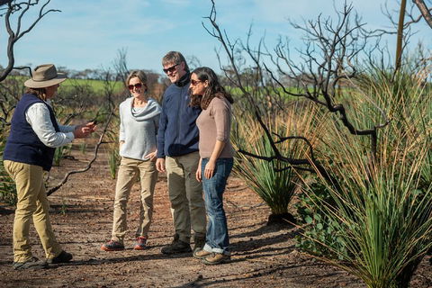 NEW TOUR - Kangaroo Island Road To Recovery Tour (1 Day/1 Night) - Tourism Cairns 4