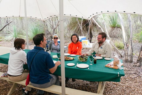Full Day Seal Bay Experience Departing From Kangaroo Island - Tourism Cairns 1