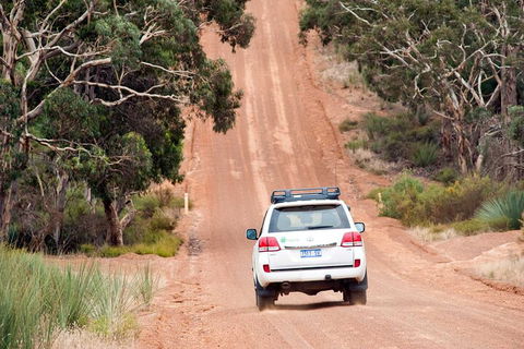 Full Day Seal Bay Experience Departing From Kangaroo Island - Tourism Cairns 2