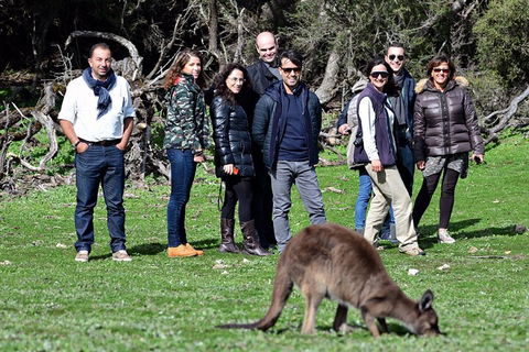 Full Day Seal Bay Experience Departing From Kangaroo Island - Tourism Cairns 3
