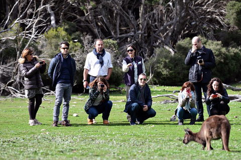 Small-Group Kangaroo Island 4WD Tour From Adelaide - Tourism Cairns 2