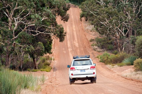 Small-Group Kangaroo Island 4WD Tour From Adelaide - Tourism Cairns 3