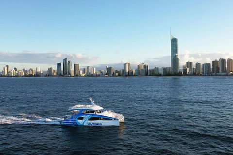 Whale Watching By Sea World Cruises - Tourism Cairns 1