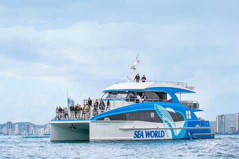 Whale Watching By Sea World Cruises - Tourism Cairns 3