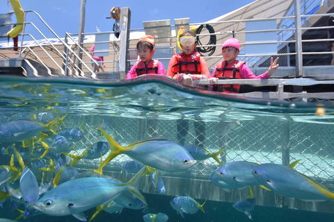 Outer Reef Pontoon Experience From Cairns - Tourism Cairns 0