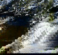 Cradle Mountain Day Tour from Launceston Including Lunch - Tourism Cairns