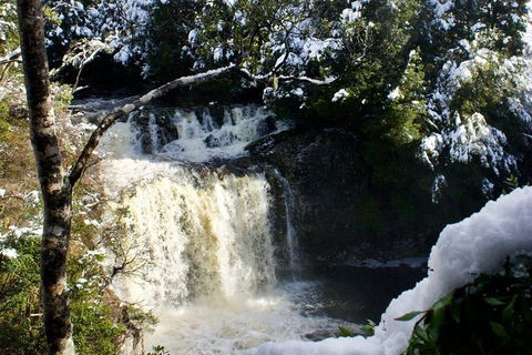 Cradle Mountain Day Tour From Launceston Including Lunch - Tourism Cairns 0