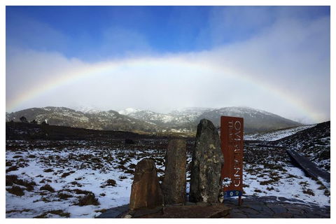 Cradle Mountain Day Tour From Launceston Including Lunch - Tourism Cairns 4
