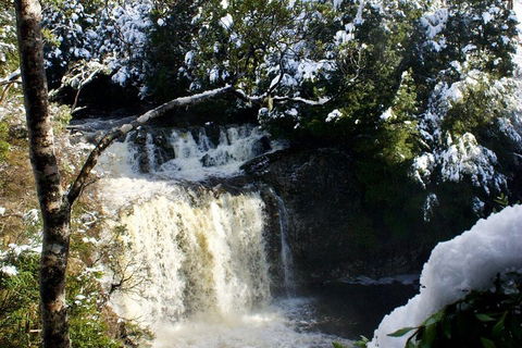 Cradle Mountain Park Explorer Guided Tour - Tourism Cairns 4