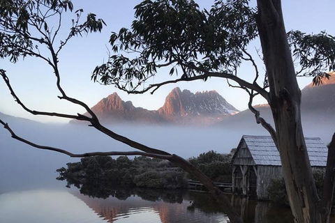Cradle Mountain Park Explorer Guided Tour - Tourism Cairns 5