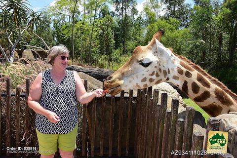 Small-Group Australia Zoo Day Trip From Brisbane - Tourism Cairns 2
