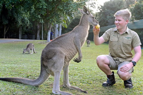 Small-Group Australia Zoo Day Trip From Brisbane - Tourism Cairns 4