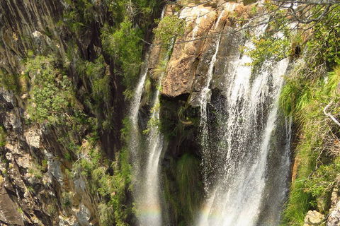 Beyond Byron Hinterland Tour - Tourism Cairns 5