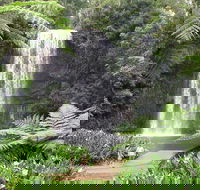 Private Daintree and Cape Tribulation Tour from Port Douglas - Tourism Cairns