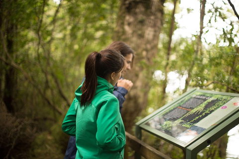 Strahan Day Trip By Air From Hobart Including A Gordon River Cruise - Tourism Cairns 5