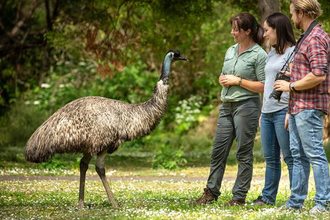 Great Ocean Road 2 Day Highlights Tour And Sunset 12 Apostles - Tourism Cairns 0