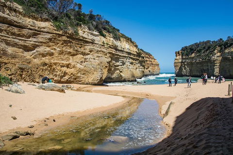 Great Ocean Road And 12 Apostles Day Trip From Melbourne - Tourism Cairns 2