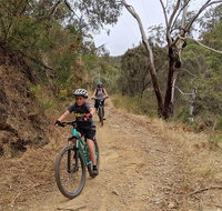 Mount Lofty Descent Bike Tour from Adelaide - Tourism Cairns