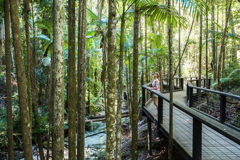 All-Inclusive Fraser Island Day Tour - Tourism Cairns 5