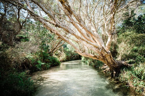 3-Day Fraser Island Resort Package - Tourism Cairns 5