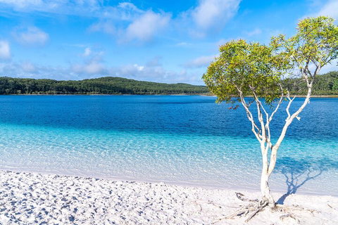 Lake McKenzie Full-Day Tour With Lunch From Hervey Bay - Tourism Cairns 1