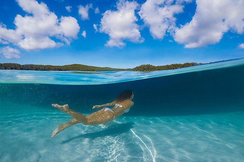 Lake McKenzie Full-Day Tour With Lunch From Hervey Bay - Tourism Cairns 5