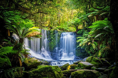 Day Tour In Mt. Field, Mt. Wellington, Bonorong Wildlife Sanctuary And Richmond - Tourism Cairns 0