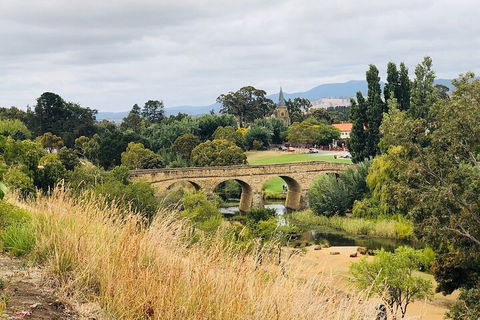 Day Tour In Mt. Field, Mt. Wellington, Bonorong Wildlife Sanctuary And Richmond - Tourism Cairns 3
